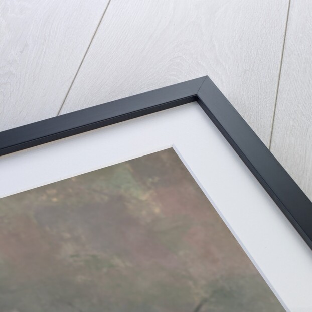 Still Life with Onions, c.1895 by Paul Cezanne