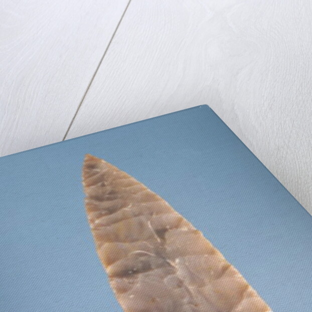 Solutrean 'laurel leaf' blade, found at Volgu, 20000-15000 BC by Paleolithic Paleolithic