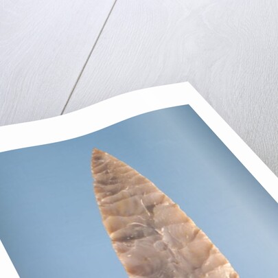 Solutrean 'laurel leaf' blade, found at Volgu, 20000-15000 BC by Paleolithic Paleolithic