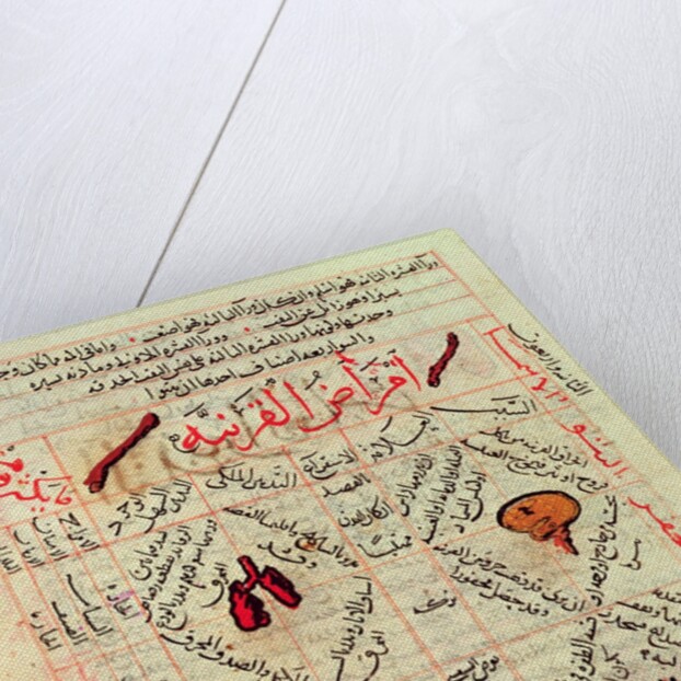 Page from the 'Canon of Medicine' by Avicenna, 14th century by Islamic School