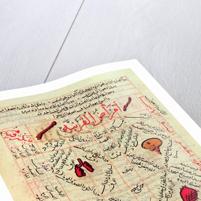 Page from the 'Canon of Medicine' by Avicenna, 14th century by Islamic School