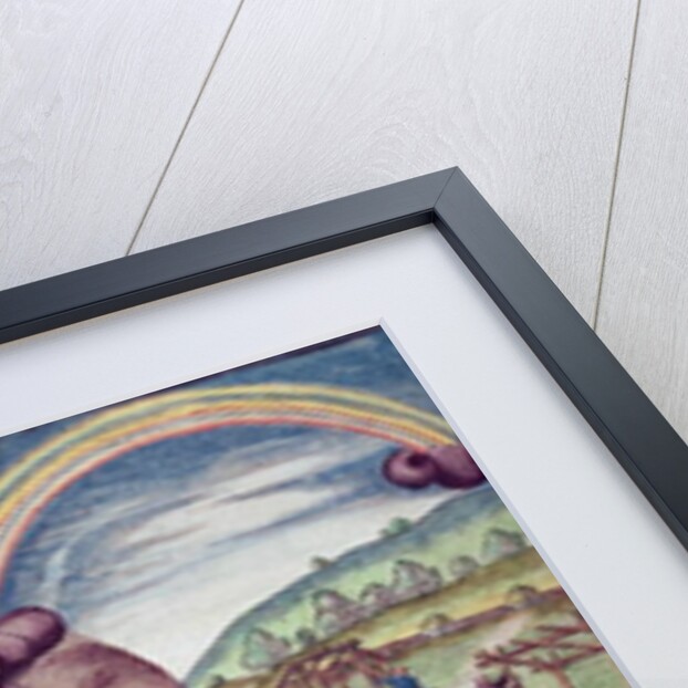 Noah's Ark by Th. after Le Moyne J. Bry