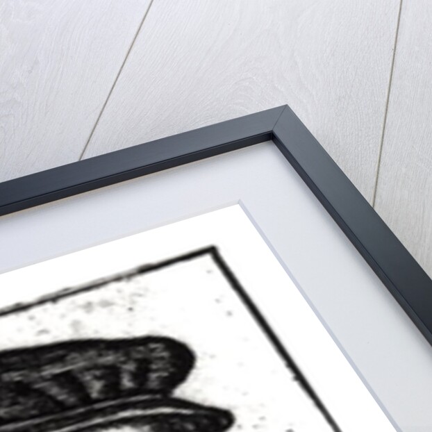 Portrait of Joachim du Bellay by French School