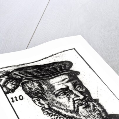 Portrait of Joachim du Bellay by French School