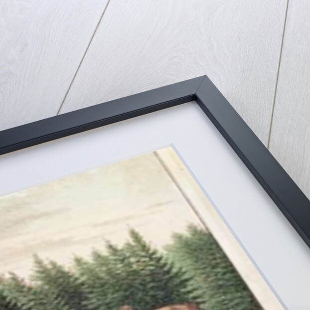 Indian Encampment on Quadra Island, Vancouver Islands by German School