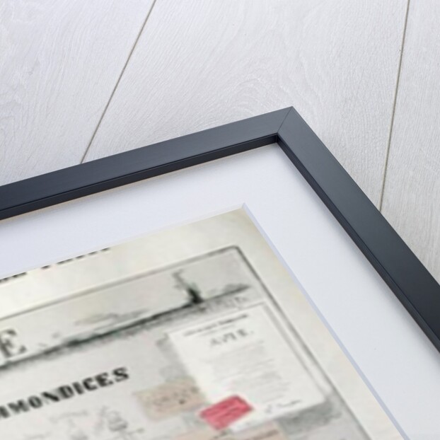 Defense de deposer des immondices le long de ce mur, caricature of Second Empire politicians by Alfred Le Petit