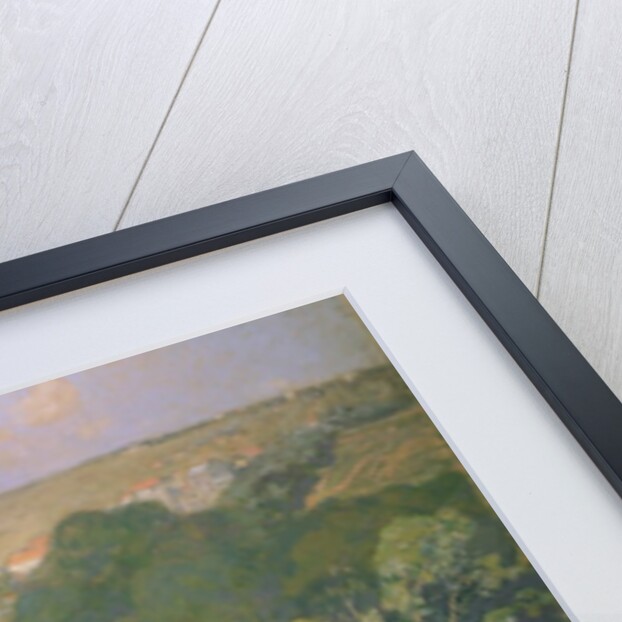 Balloon Landing at Pre St-Gervais, c.1885 by Auguste Lepere