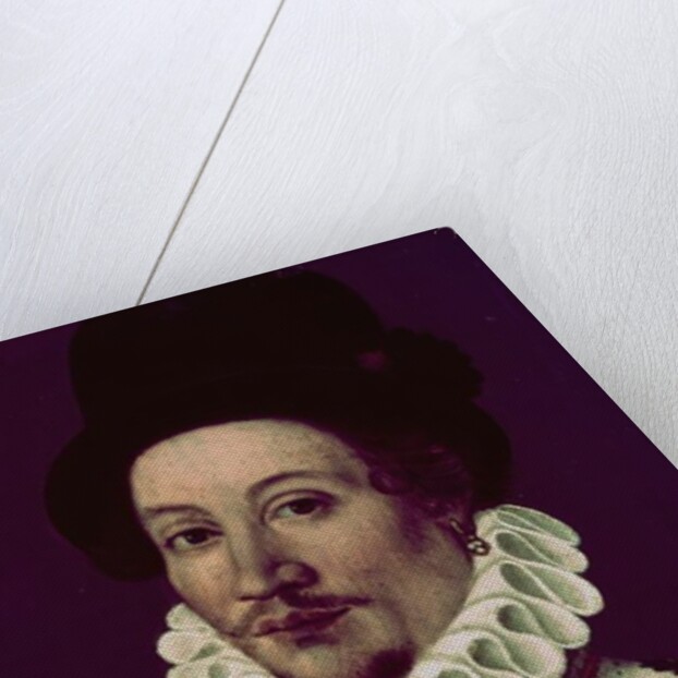 Portrait of a Man, 1575 by French School