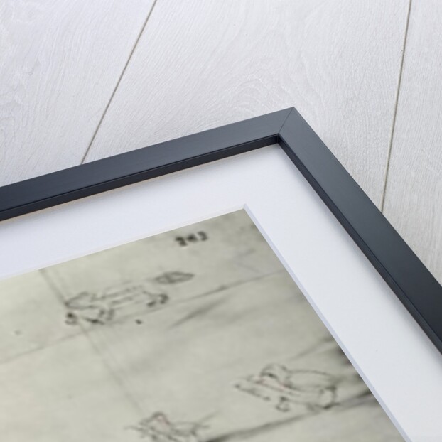 Iroquois pictogram, 12th July 1666 by Pierre Joseph Chaumonet