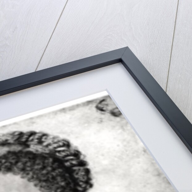 Marguerite of Valois 1568 by Francois Clouet