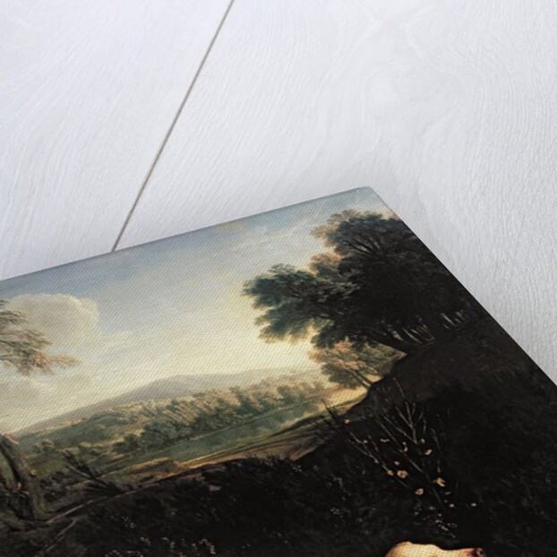 Louis XIV's Dog, Tane by Alexandre-Francois Desportes