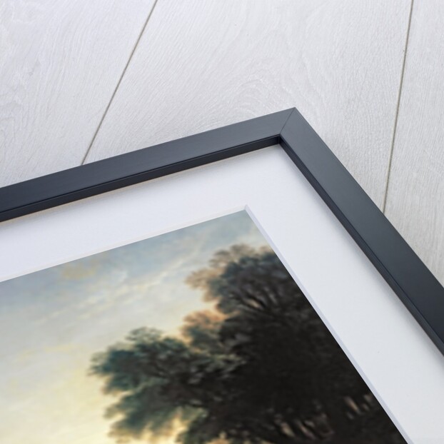 Louis XIV's Dog, Tane by Alexandre-Francois Desportes