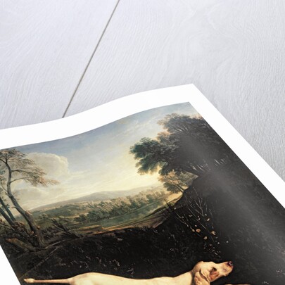 Louis XIV's Dog, Tane by Alexandre-Francois Desportes