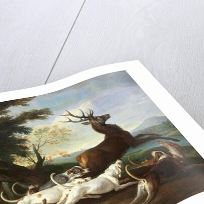 The Deer Hunt, 1718 by Alexandre-Francois Desportes