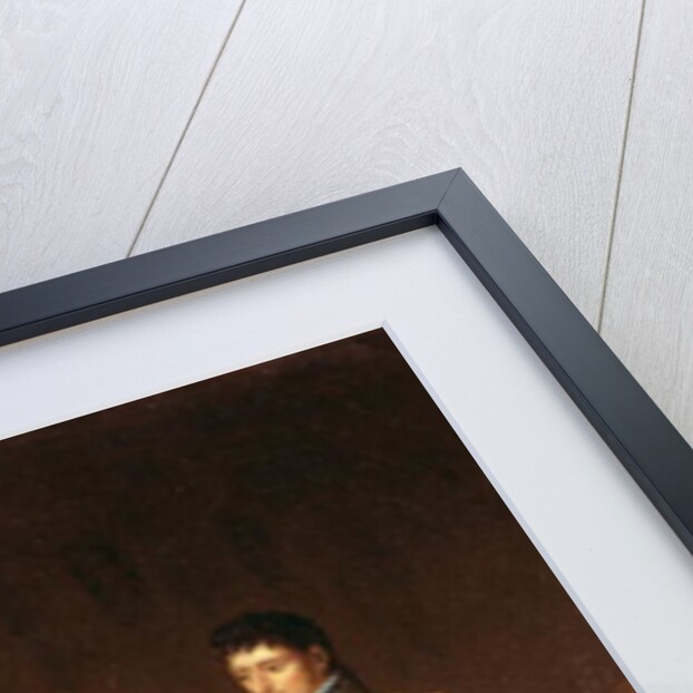 Portrait of Jerome Bonaparte and his wife Catherine of Wurtemberg by Francois Pascal Simon Baron Gerard