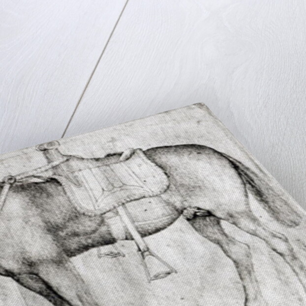 Mule by Antonio Pisanello