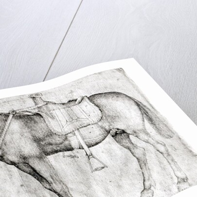 Mule by Antonio Pisanello