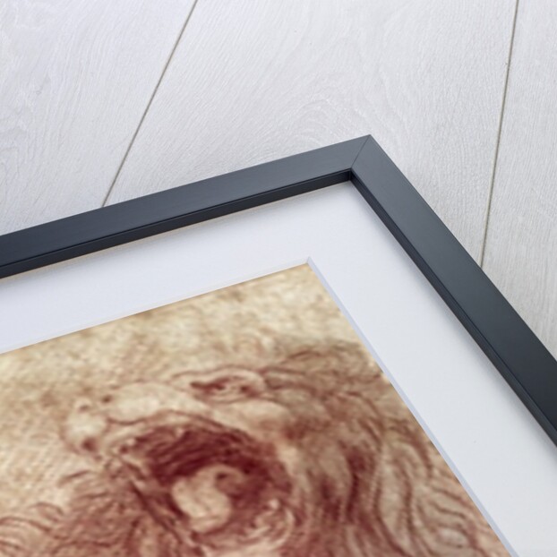 Sketch of a roaring lion by Leonardo da Vinci
