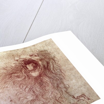 Sketch of a roaring lion by Leonardo da Vinci