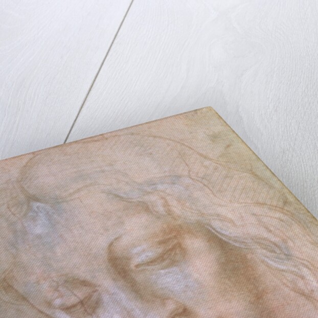 Head of a woman by Leonardo da Vinci