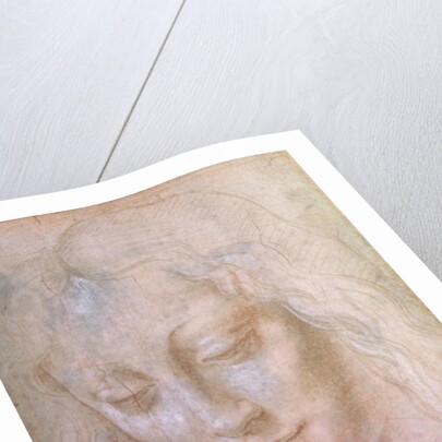 Head of a woman by Leonardo da Vinci