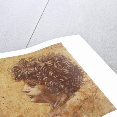 Study of a child's head by Leonardo da Vinci