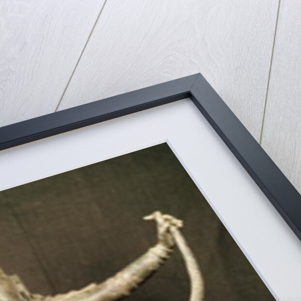 Kaliya Krishna by School Indian