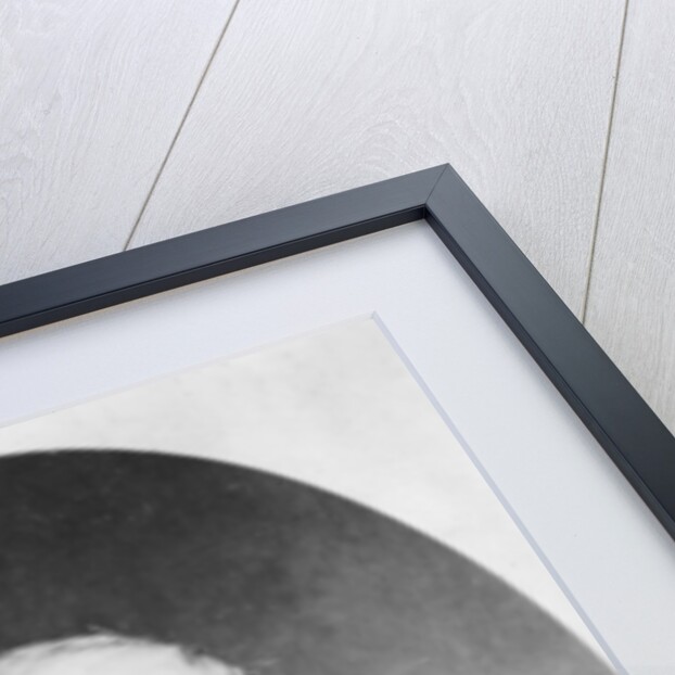 Etienne de Girardin c.1860 by Etienne Carjat