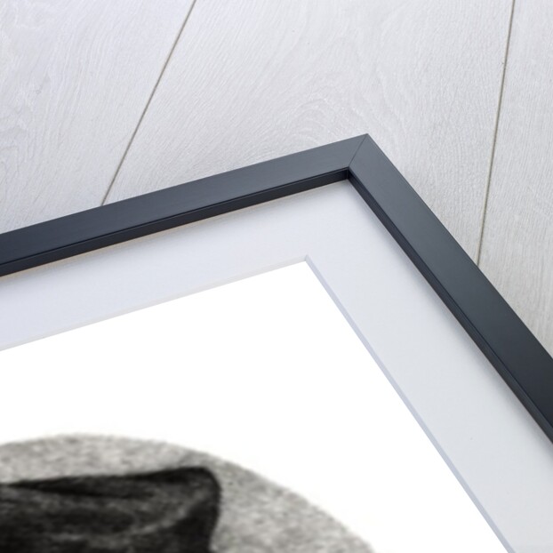 Portrait of Jacques Lefevre d'Etaples by French School