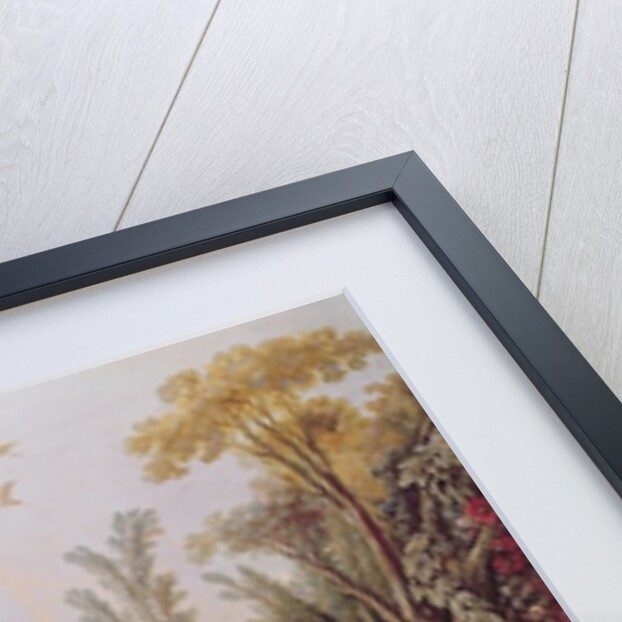 Lake with geese, storks, parrots and herons by Francois Boucher