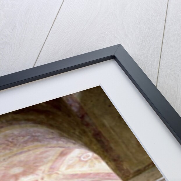 View of the Carolingian frescoes in the inner crypt, c.858 by French School
