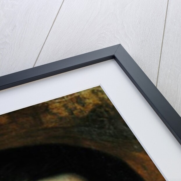 Study for a portrait of Victor Hugo c.1836 by Francois Joseph Heim