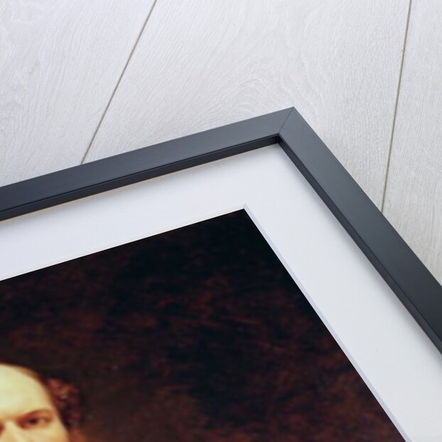 Portrait of Odilon Barrot by Ary Scheffer