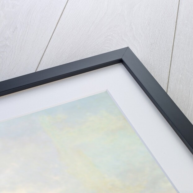 The Emperor Napoleon III and the Empress Eugenie visiting the Chaillot Hill, 1867 by Louis Moullin