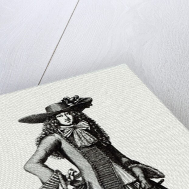 The Summer Sword Dress, 1675 by Bonnart