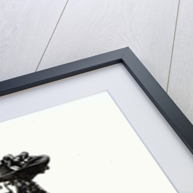 The Summer Sword Dress, 1675 by Bonnart