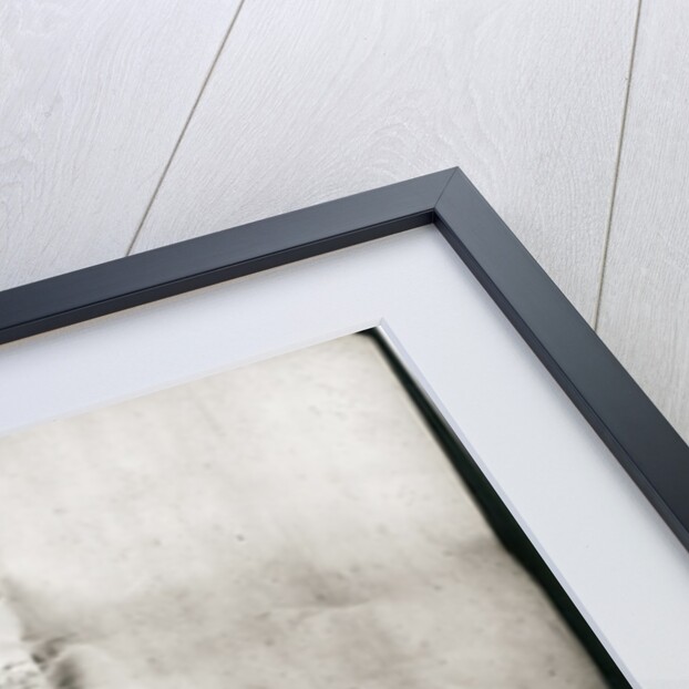 Treaty of Cambrai, 1529 by Anonymous