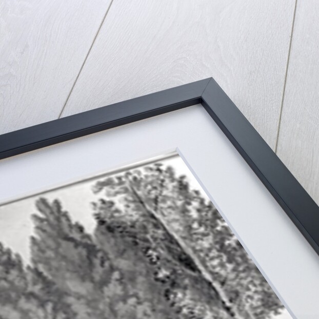 Jean-Jacques Rousseau's tomb at Ermenonville by Savigny Savigny