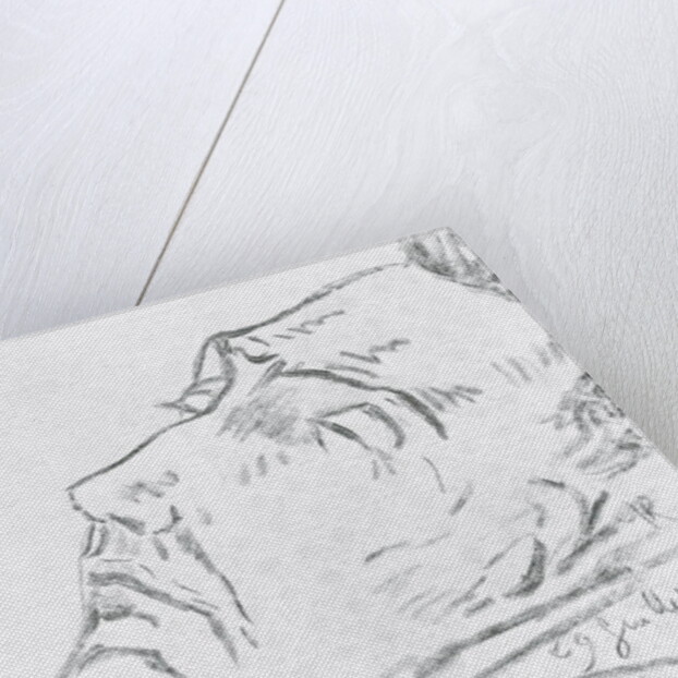 Portrait of Vincent Van Gogh on his deathbed, 29 July 1890 by Paul Gachet