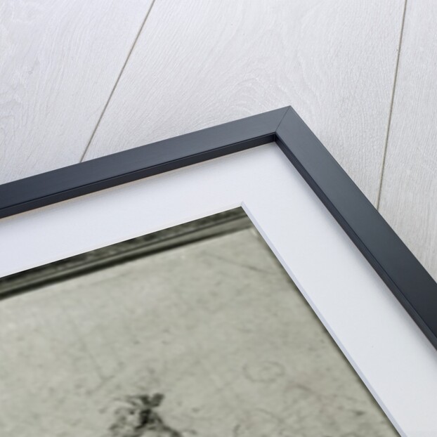 The Arrest of Louis Dominique Cartouche by French School