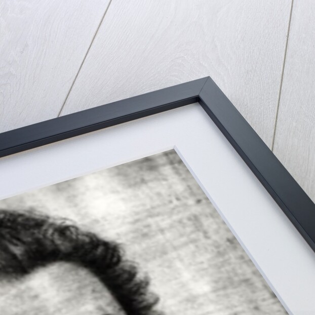 Portrait of Cesar de Bourbon, Duke de Vendome by or Dumoustier Daniel Dumonstier