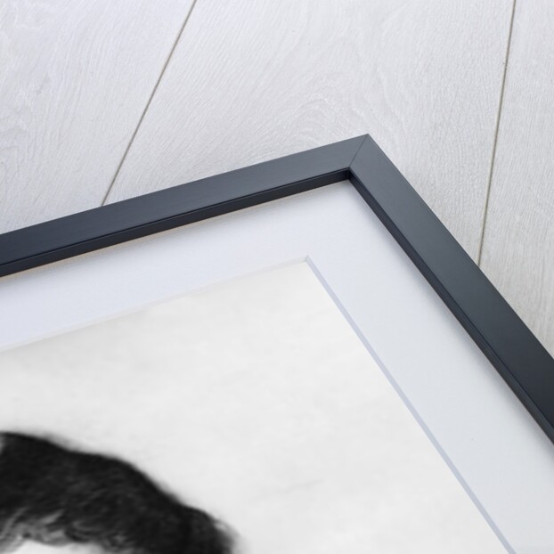 Portrait of Jean-Francois Champollion, 1830 by French School