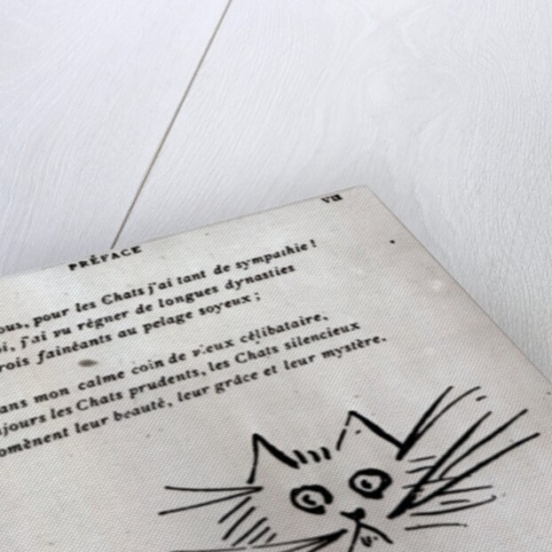 Cat's head by Francois Coppee