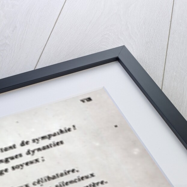 Cat's head by Francois Coppee