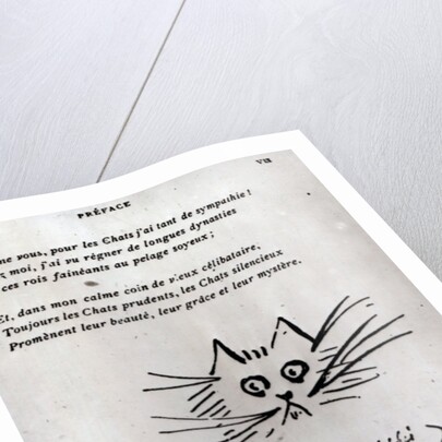 Cat's head by Francois Coppee