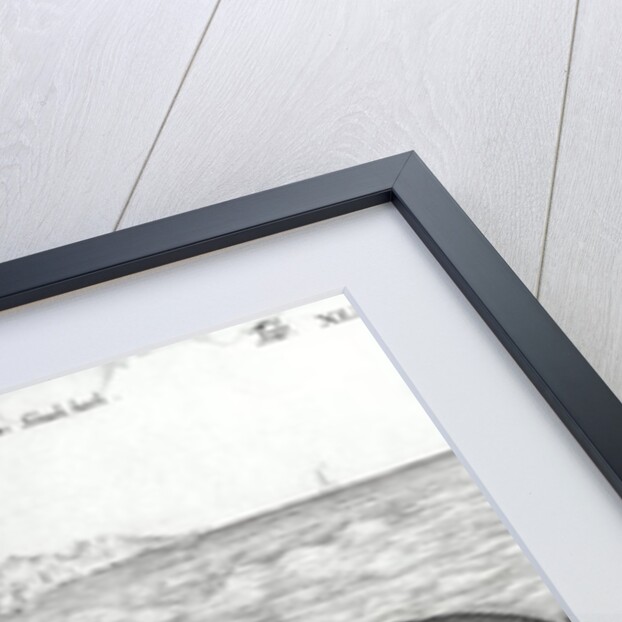 Dead whale by German School