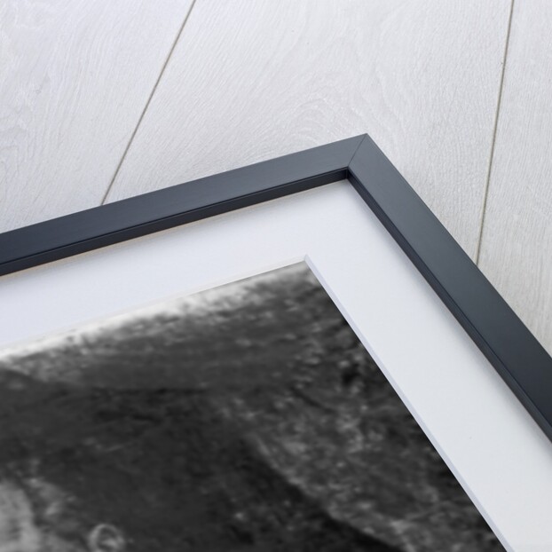 Portrait of Giovanni Pierluigi da Palestrina by Italian School