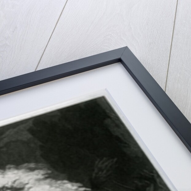 Shipwreck of Virginie by Pierre-Paul Prud'hon