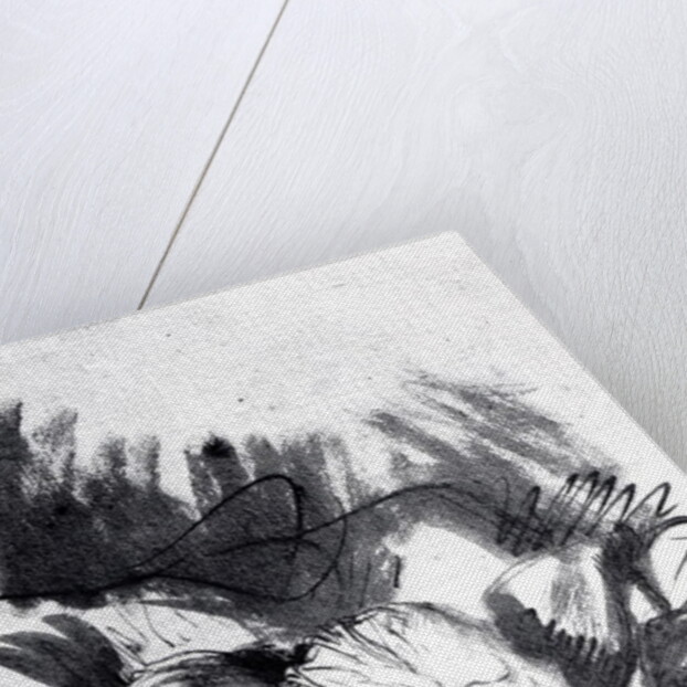 Sick woman in a bed, maybe Saskia, wife of the painter, 1640 by Rembrandt Harmensz. van Rijn