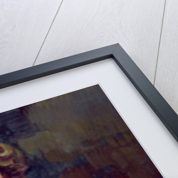 The Album by Jules Ernest Renoux